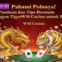 Pahami Polanya! Panduan dan Tips Bermain Dragon Tiger WM Casino untuk Pemula