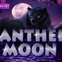 Panther Moon dari Joker Gaming 🐾: Slot Cuan Bertema Alam Liar dengan Potensi Menang Fantastis! 🔥