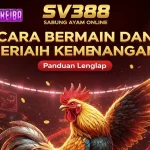 Mengenal Cara Bermain Sabung Ayam Online di SV388 dan Cara Meraih Kemenangan