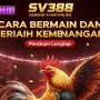 Mengenal Cara Bermain Sabung Ayam Online di SV388 dan Cara Meraih Kemenangan