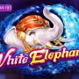 White Elephant dari One Game: Slot Elegan dengan Fitur Cuan dan Potensi Maxwin Fantastis! 🔥