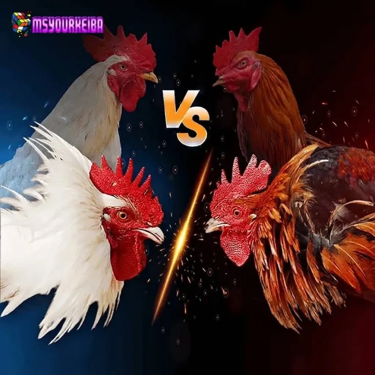 Panduan Lengkap Bermain Sabung Ayam SV388 untuk Pemula